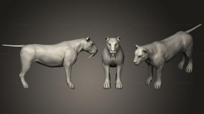 Статуэтки животных (Саблезубый Серый, STKJ_1786) 3D модель для ЧПУ станка